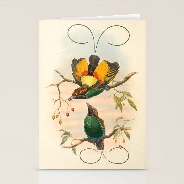 Birds-of-paradise (Dephyllodes Chrysoptera) by John Gould, 1875-1888 (benefitting the Nature Conservancy) Stationery Card Gallery Image 1
