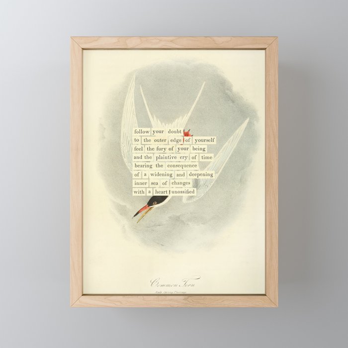 Bird Divinations: Common Tern (about: almanacofbirds.org) Mini Art Print Gallery Image 1