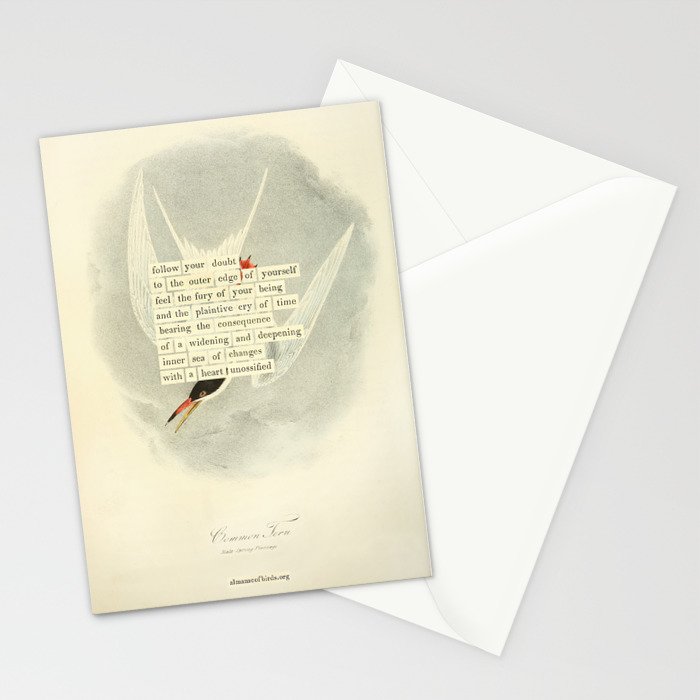 Bird Divinations: Common Tern (about: almanacofbirds.org) Stationery Card Gallery Image 2