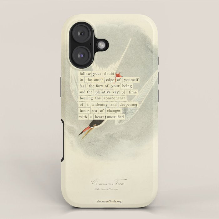 Bird Divinations: Common Tern (about: almanacofbirds.org) iPhone Case Gallery Image 1