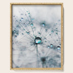 Dandelion Blue - Elegant Flower photography by Ingrid Beddoes Serving Tray Gallery Image 1