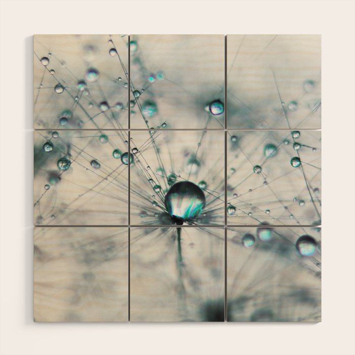 Dandelion Blue - Elegant Flower photography by Ingrid Beddoes Wood Wall Art Gallery Image 1