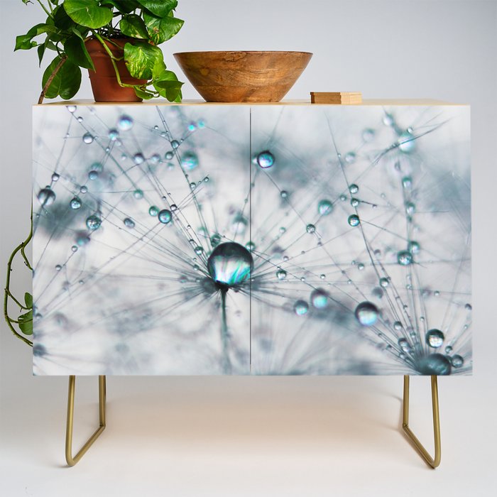 Dandelion Blue - Elegant Flower photography by Ingrid Beddoes Credenza Gallery Image 1