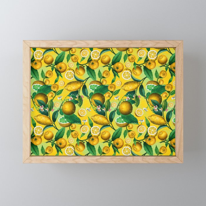 Citrus Ichangensis Mini Art Print Gallery Image 1