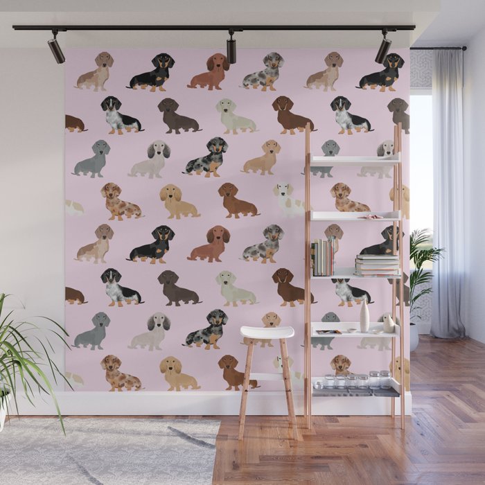 Dachshund dog breed pet pattern doxie coats dapple merle red black and tan Wall Mural Gallery Image 1