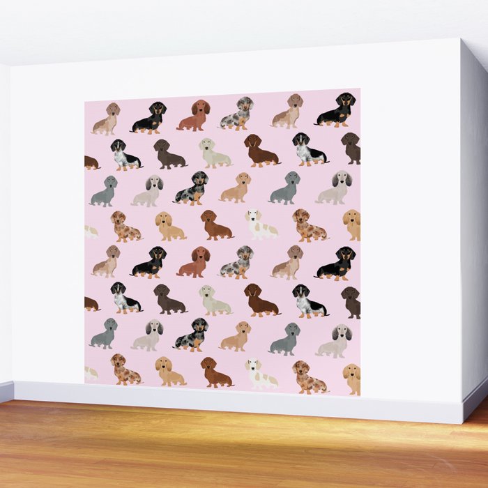 Dachshund dog breed pet pattern doxie coats dapple merle red black and tan Wall Mural Gallery Image 2
