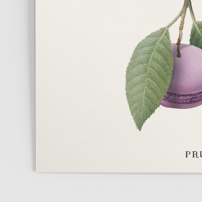 Macaron Plant Poster Gallery Image 3