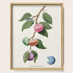 Macaron Plant Serving Tray Gallery Image 1