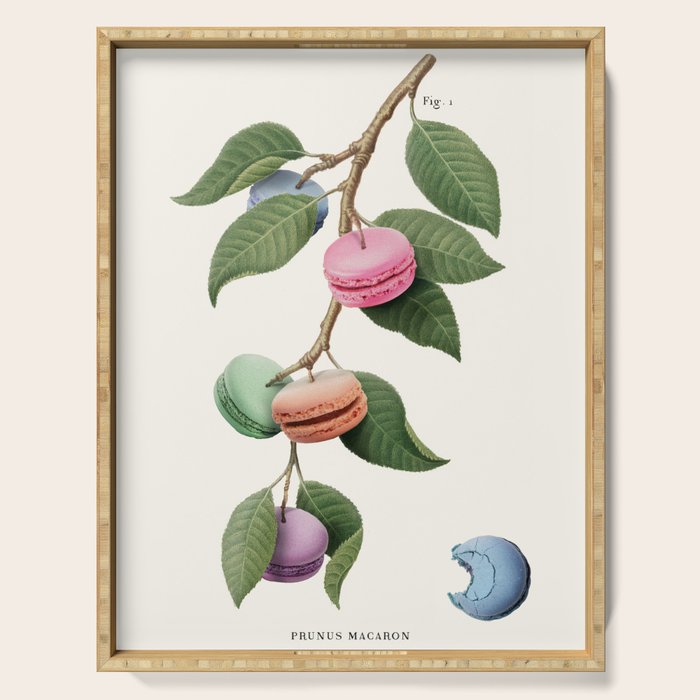 Macaron Plant Serving Tray Gallery Image 1
