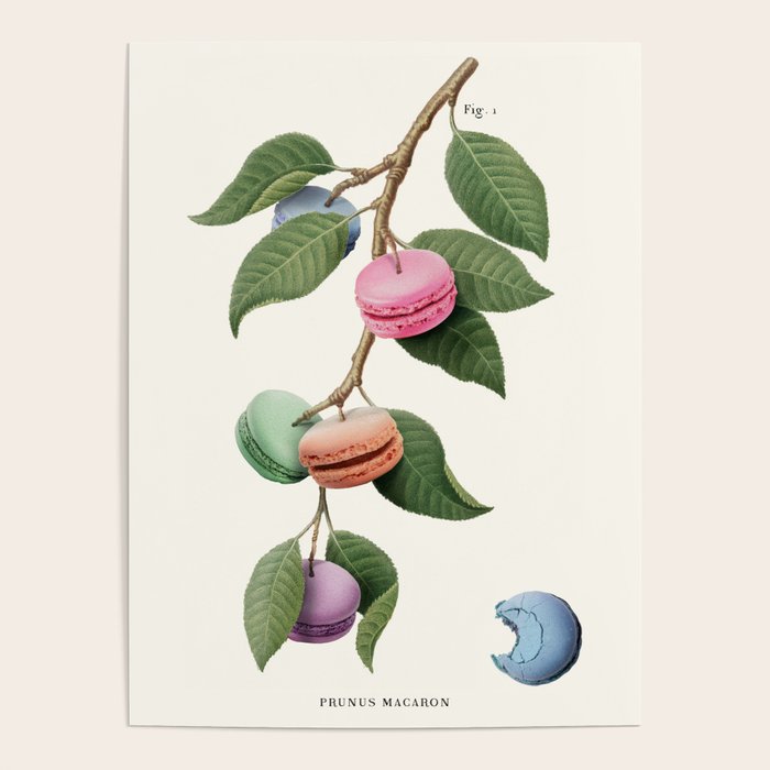 Macaron Plant Poster Gallery Image 1