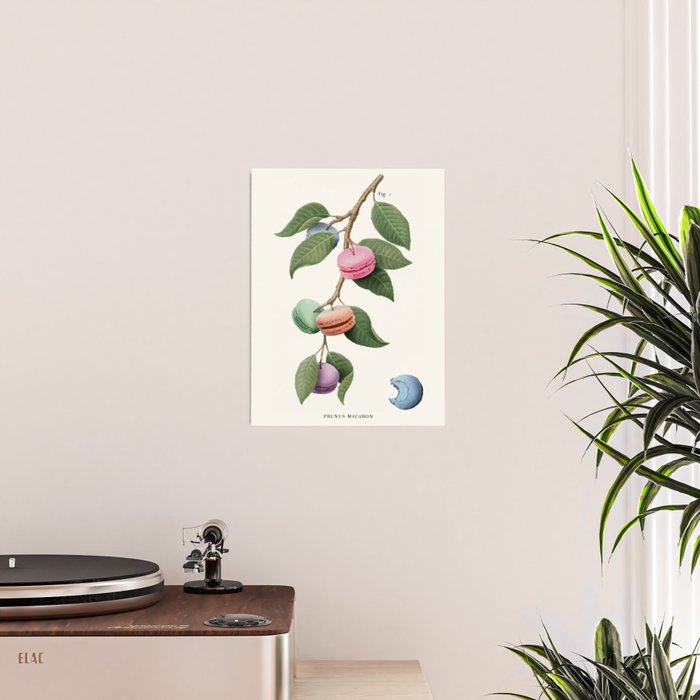 Macaron Plant Poster Gallery Image 2