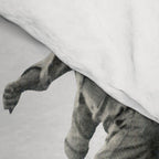 Into Abyss Comforter Gallery Image 4