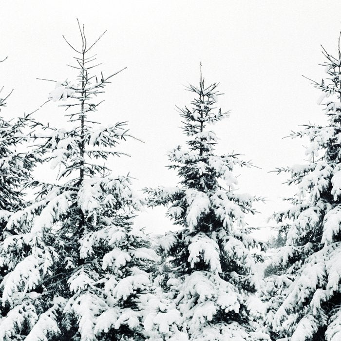 Snow Porn Coffee Mug Gallery Image 2