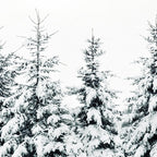 Snow Porn Coffee Mug Gallery Image 2