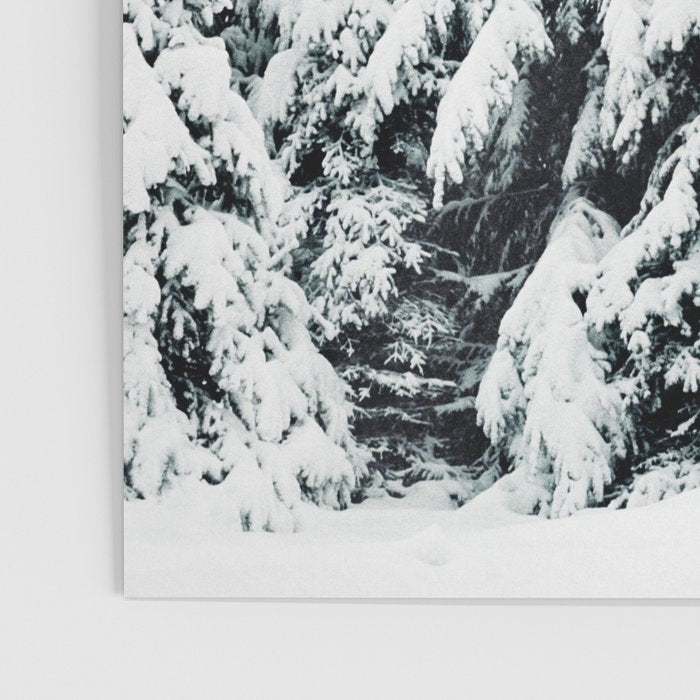 Snow Porn Poster Gallery Image 3