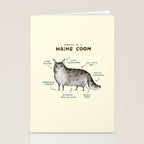 Anatomy of a Maine Coon Stationery Card Gallery Image 2