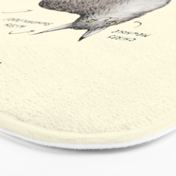Anatomy of a Maine Coon Bath Mat Gallery Image 3