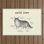 Anatomy of a Maine Coon Outdoor Rug Gallery Image 1