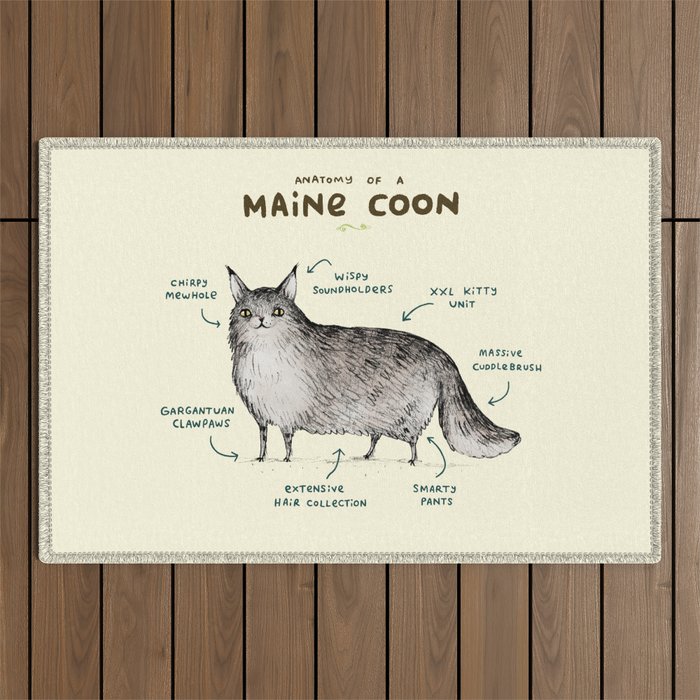 Anatomy of a Maine Coon Outdoor Rug Gallery Image 1