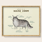 Anatomy of a Maine Coon Serving Tray Gallery Image 1
