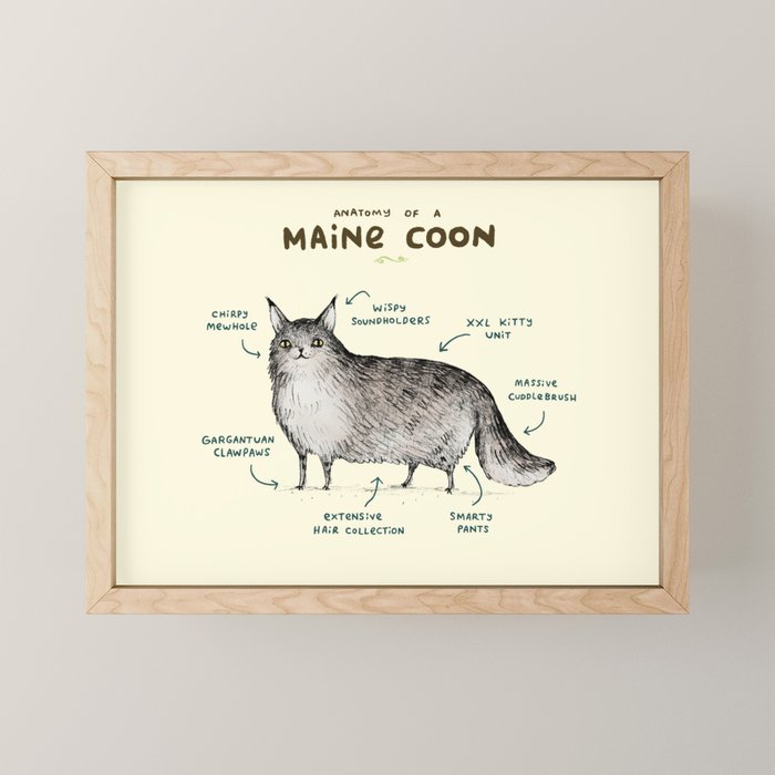 Anatomy of a Maine Coon Mini Art Print Gallery Image 1