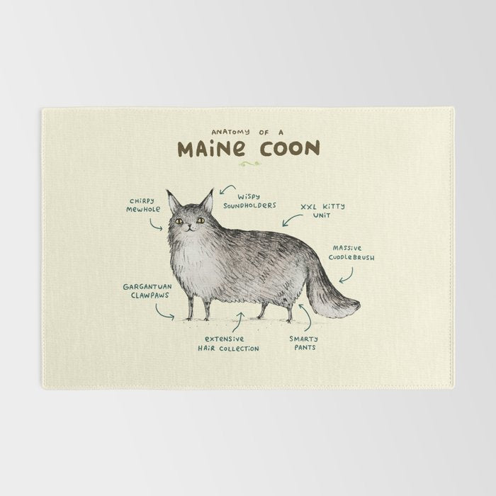 Anatomy of a Maine Coon Rug Gallery Image 2
