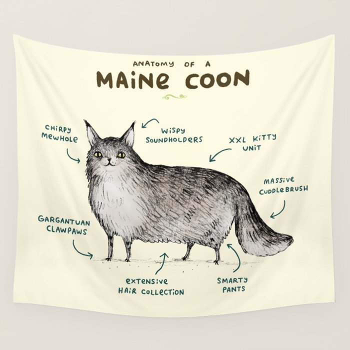Anatomy of a Maine Coon Wall Tapestry Gallery Image 4