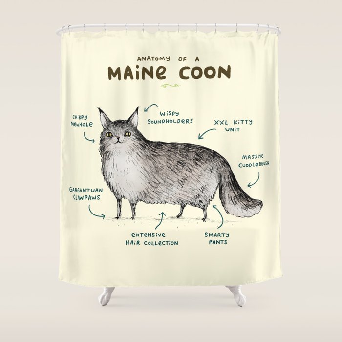 Anatomy of a Maine Coon Shower Curtain Gallery Image 1