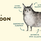 Anatomy of a Maine Coon Coffee Mug Gallery Image 2