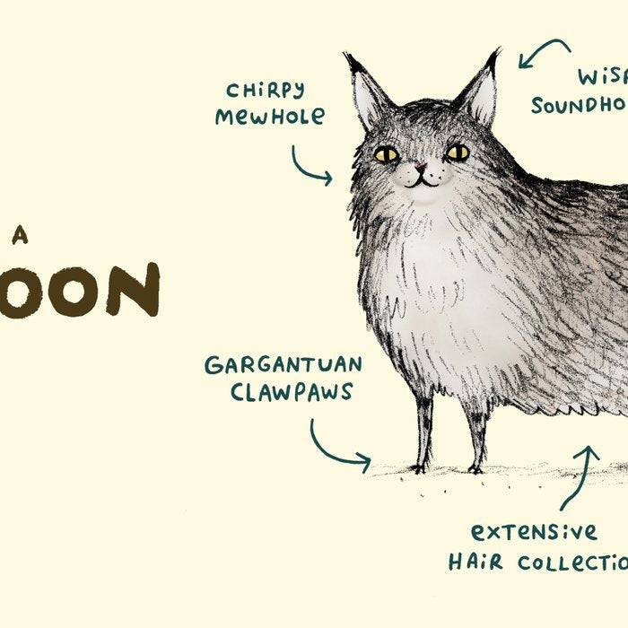Anatomy of a Maine Coon Coffee Mug Gallery Image 2