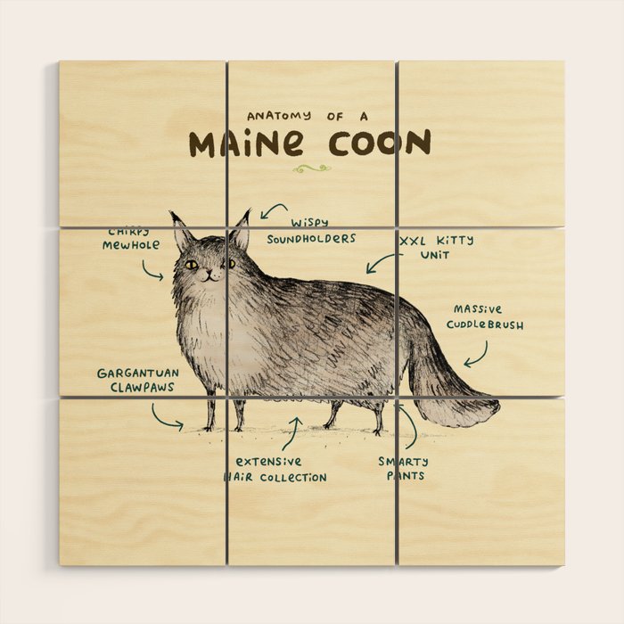 Anatomy of a Maine Coon Wood Wall Art Gallery Image 1