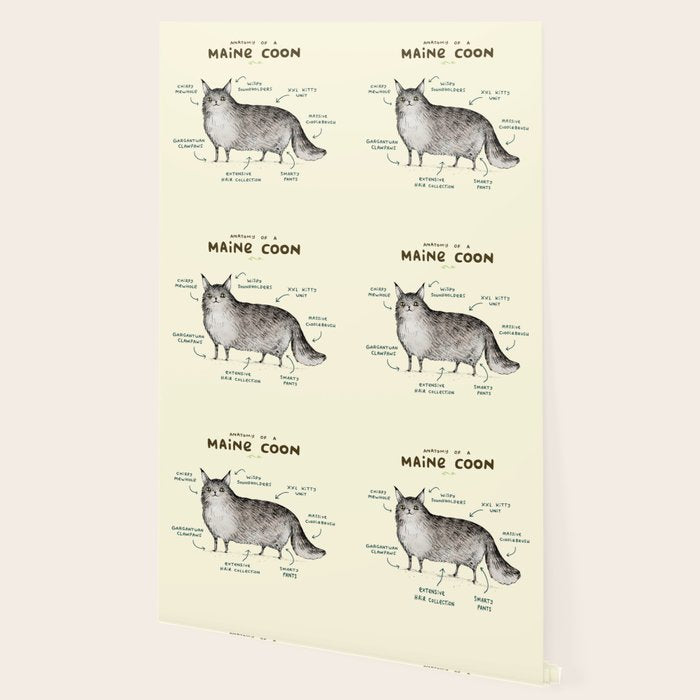 Anatomy of a Maine Coon Wallpaper Gallery Image 2