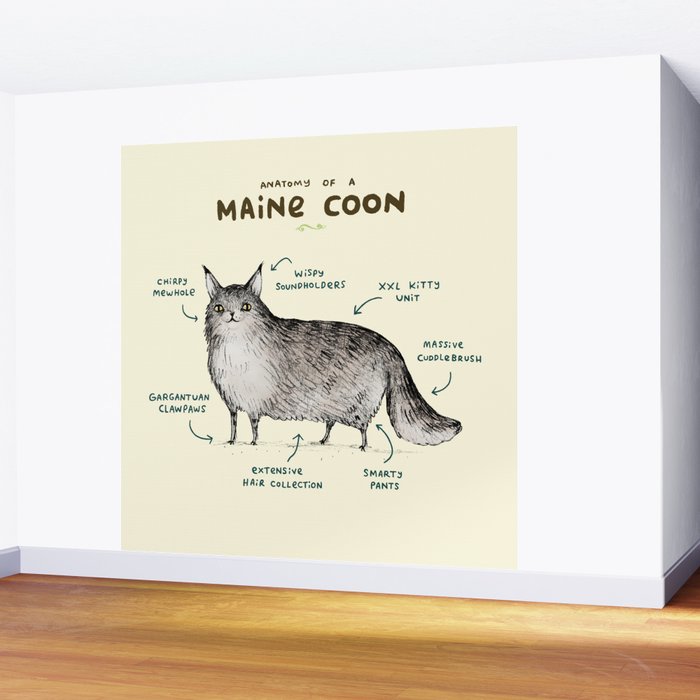 Anatomy of a Maine Coon Wall Mural Gallery Image 2