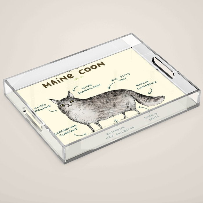Anatomy of a Maine Coon Acrylic Tray Gallery Image 1