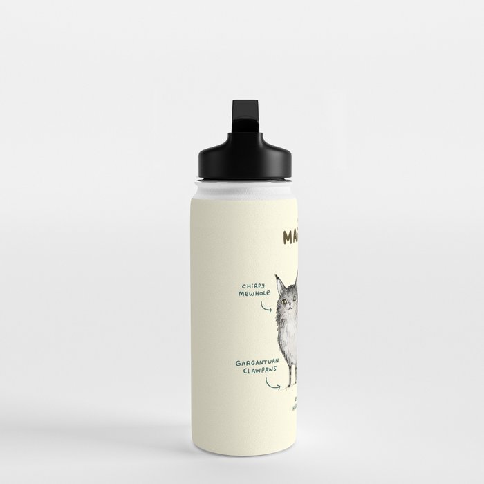 Anatomy of a Maine Coon Water Bottle Gallery Image 3