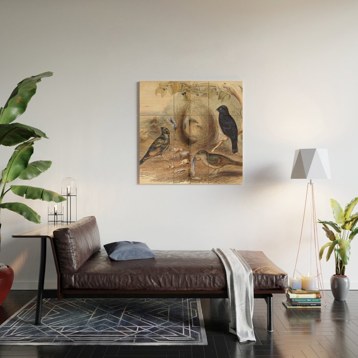 Satin Bowerbird by Elizabeth Gould, 1840s (benefitting The Nature Conservancy) Wood Wall Art Gallery Image 2