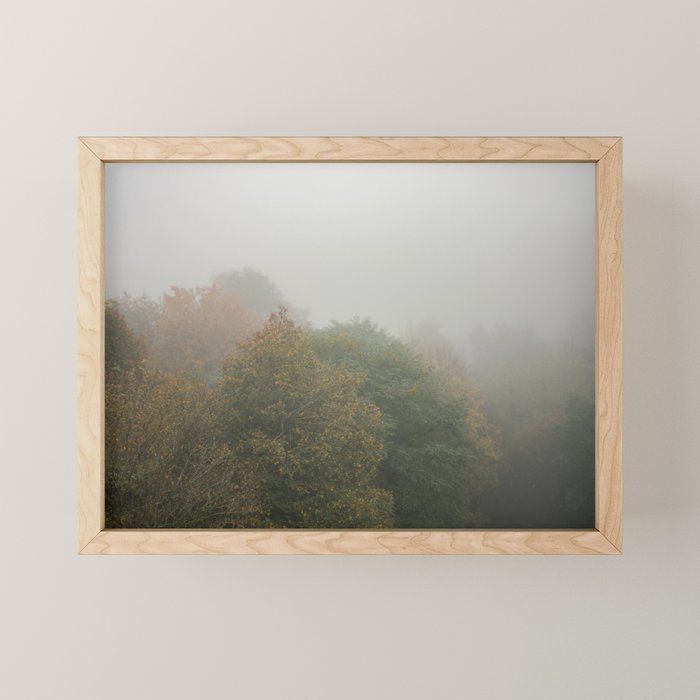 Belgium Misty Forest Scene | Atmospheric Nature Photography Mini Art Print Gallery Image 1