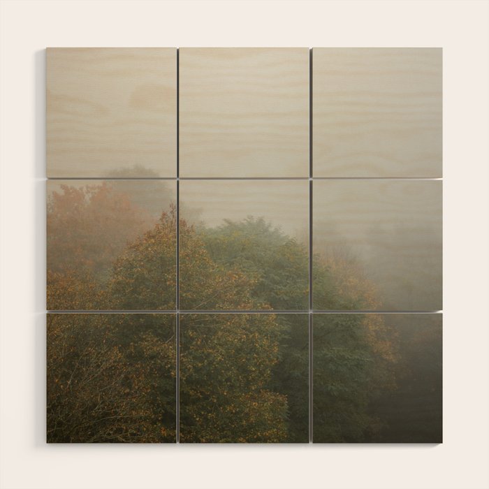 Belgium Misty Forest Scene | Atmospheric Nature Photography Wood Wall Art Gallery Image 1