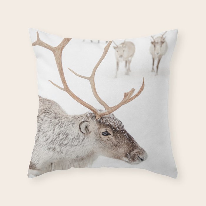 Reindeer With Antlers Art Print | Tromsø Norway Animal Snow Photo | Arctic Winter Travel Photography Throw Pillow Gallery Image 1