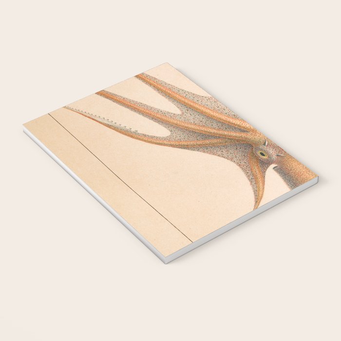 Octopus from "Mollusques Méditeranéens" by Jean Baptiste Vérany, 1851 Notebook Gallery Image 3