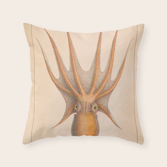 Octopus from "Mollusques Méditeranéens" by Jean Baptiste Vérany, 1851 Throw Pillow Gallery Image 1