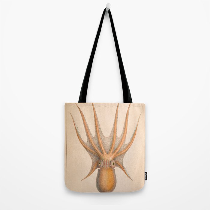 Octopus from "Mollusques Méditeranéens" by Jean Baptiste Vérany, 1851 Tote Bag Gallery Image 2