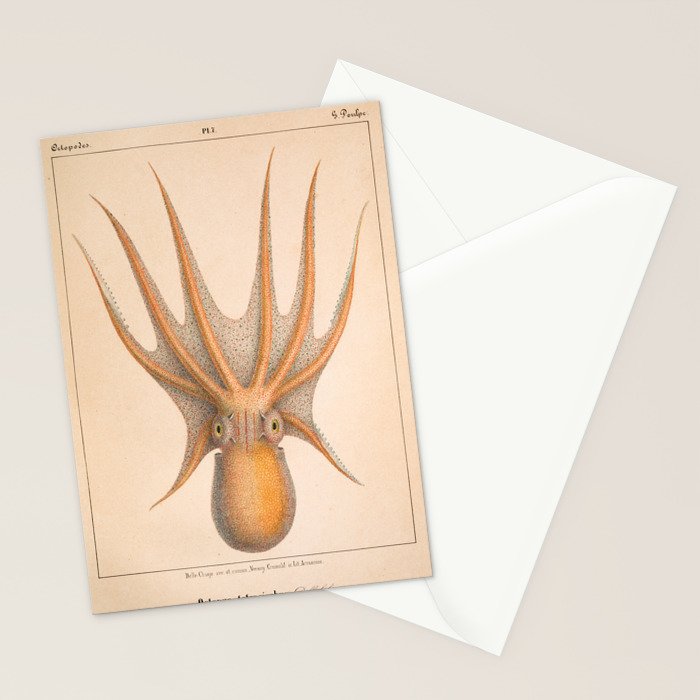 Octopus from "Mollusques Méditeranéens" by Jean Baptiste Vérany, 1851 Stationery Card Gallery Image 2