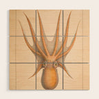 Octopus from "Mollusques Méditeranéens" by Jean Baptiste Vérany, 1851 Wood Wall Art Gallery Image 1