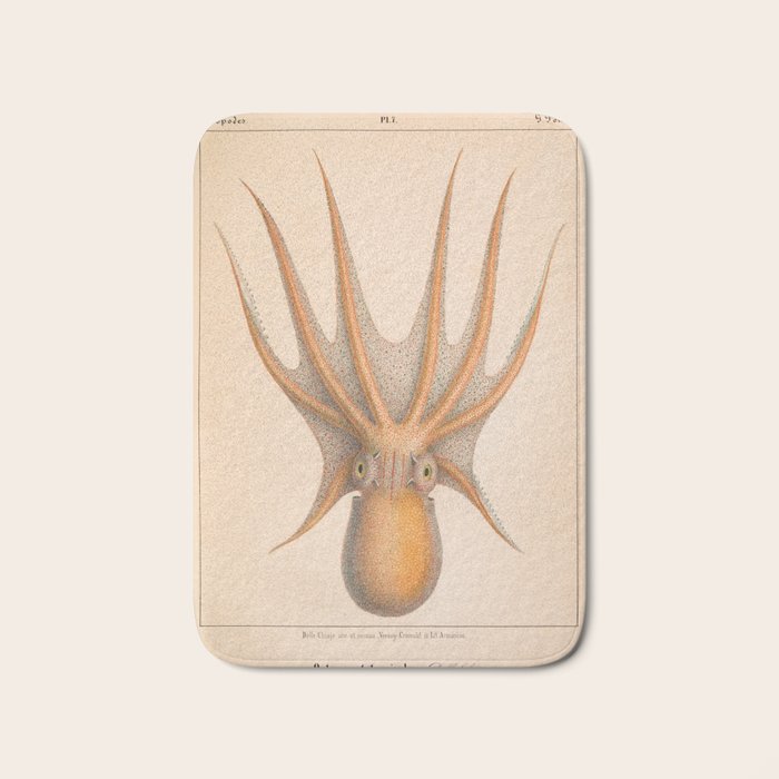 Octopus from "Mollusques Méditeranéens" by Jean Baptiste Vérany, 1851 Bath Mat Gallery Image 1
