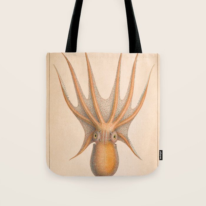 Octopus from "Mollusques Méditeranéens" by Jean Baptiste Vérany, 1851 Tote Bag Gallery Image 1