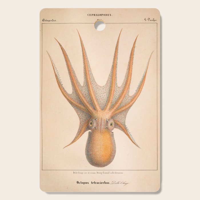 Octopus from "Mollusques Méditeranéens" by Jean Baptiste Vérany, 1851 Cutting Board Gallery Image 1