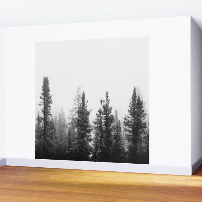 Misty Forest Wall Mural Gallery Image 2