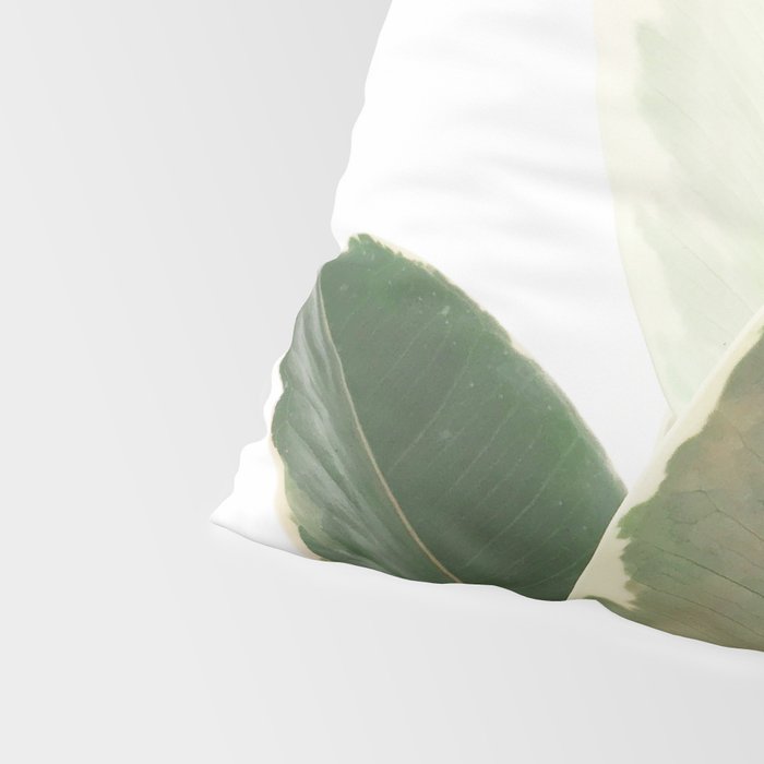 Ficus Teneke Pillow Sham Gallery Image 4
