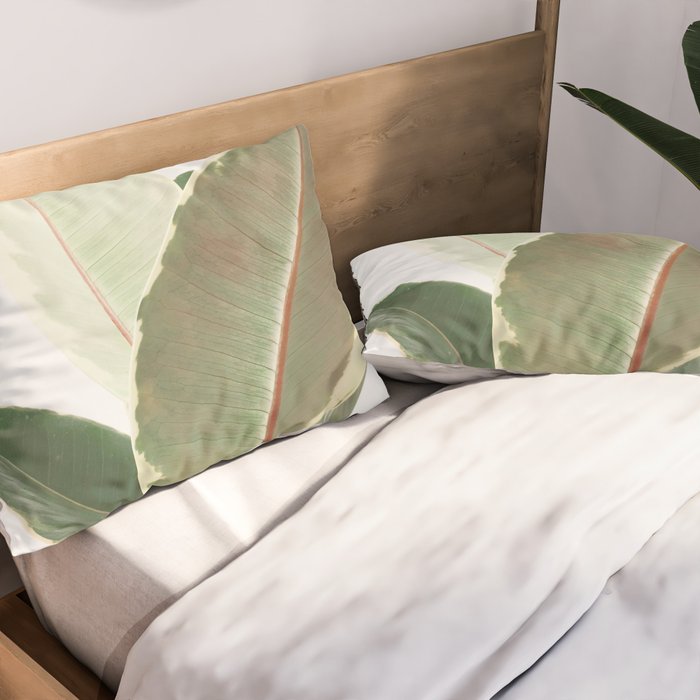 Ficus Teneke Pillow Sham Gallery Image 2